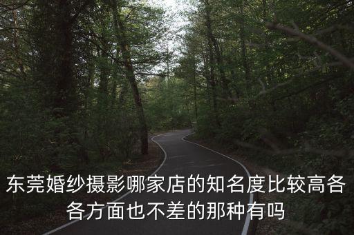 東莞婚紗攝影哪家店的知名度比較高各各方面也不差的那種有嗎