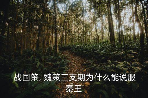  戰(zhàn)國(guó)策, 魏策三支期為什么能說(shuō)服秦王