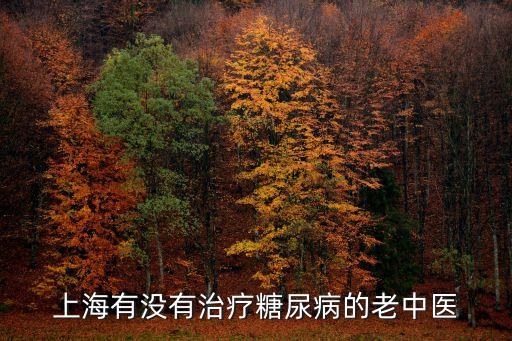 上海市名老中醫(yī)胰腺，上海名老中醫(yī)有哪些
