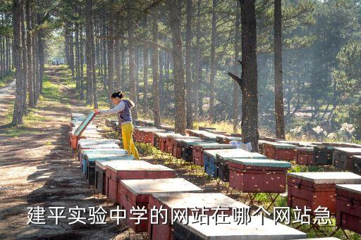 上海市建平實(shí)驗(yàn)中學(xué)網(wǎng)址，建平實(shí)驗(yàn)中學(xué)的網(wǎng)站在哪個(gè)網(wǎng)站急