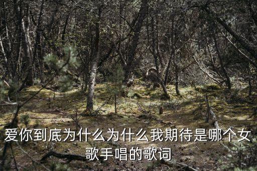 愛(ài)你到底為什么為什么我期待是哪個(gè)女歌手唱的歌詞