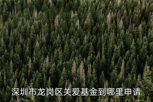 深圳大病關(guān)愛基金，深圳有什么健康關(guān)愛基金或者是公益基金會(huì)
