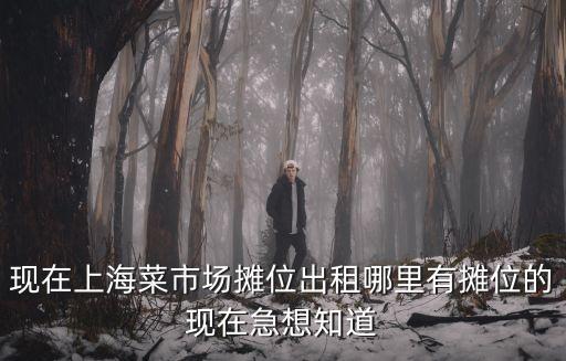 上海市超市豬肉攤位招租，上海哪個地方有店面出租或轉讓請告訴我店面無論大小謝謝