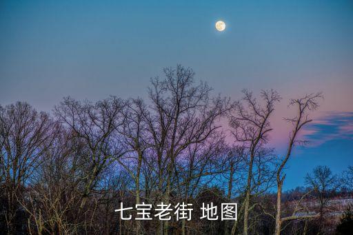 七寶古街上海市，上海七寶老街的介紹