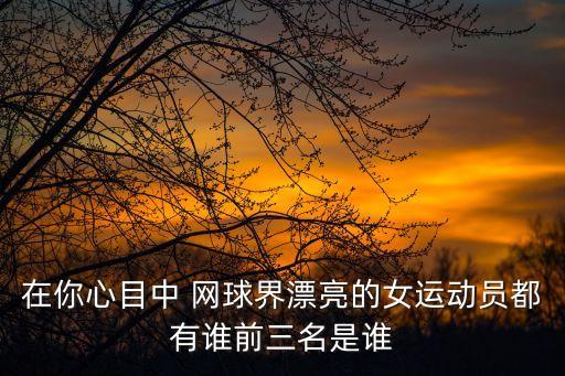 在你心目中 網球界漂亮的女運動員都有誰前三名是誰