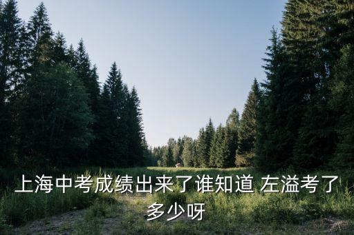 上海中考成績(jī)出來(lái)了誰(shuí)知道 左溢考了多少呀