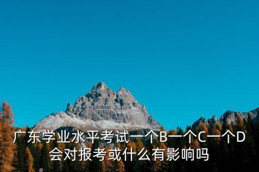 廣東學業水平考試一個B一個C一個D會對報考或什么有影響嗎