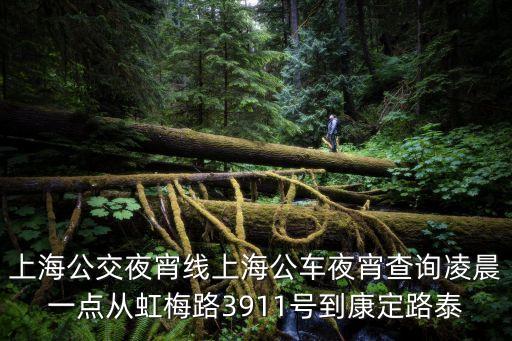 上海公交夜宵線上海公車夜宵查詢凌晨一點從虹梅路3911號到康定路泰
