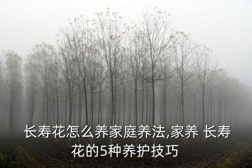長壽花介紹,長壽花什么時(shí)候開花?一起來學(xué)習(xí)一下