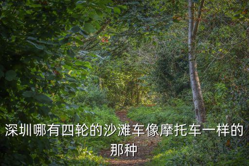 深圳沙灘車玩，深圳哪有四輪的沙灘車像摩托車一樣的那種