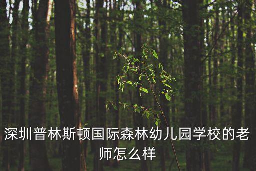 深圳普林斯頓國(guó)際森林幼兒園學(xué)校的老師怎么樣