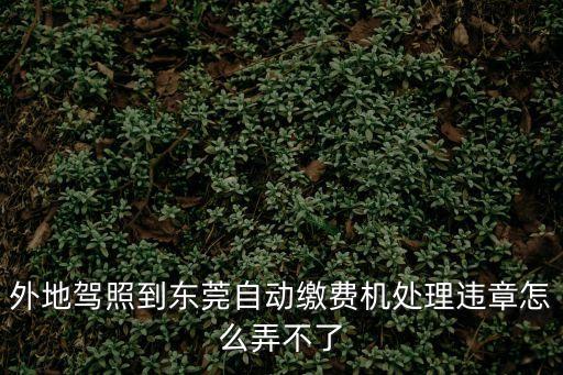 東莞交警自助繳費流程沒有，東莞的車輛違章怎么繳納啊手續怎么樣
