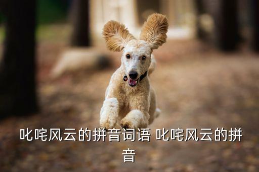 叱咤風云的讀音,所有應該叱咤風云的勇士都成了小丑武漢出現