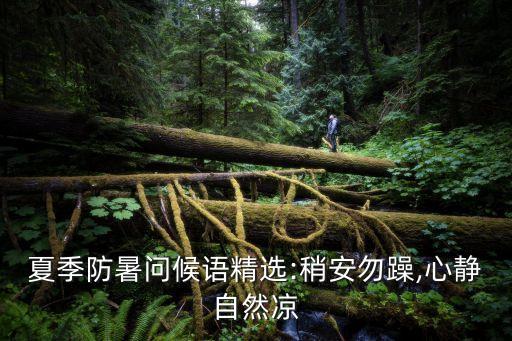 夏季防暑問候語(yǔ)精選:稍安勿躁,心靜自然涼