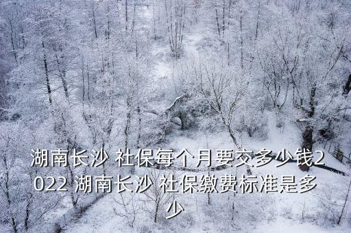 湖南社保