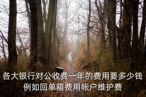 各大銀行對公收費一年的費用要多少錢例如回單箱費用帳戶維護費