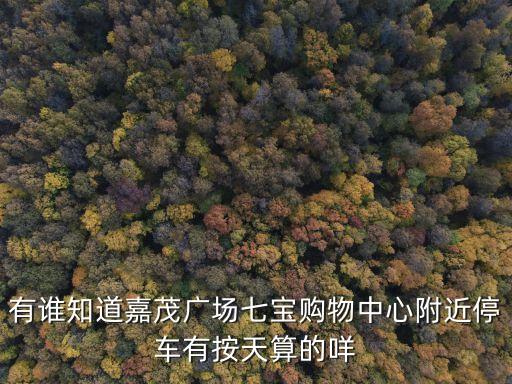 上海市萬科七寶國際停車收費，有誰知道嘉茂廣場七寶購物中心附近停車有按天算的咩