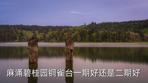 麻涌碧桂園銅雀臺一期好還是二期好