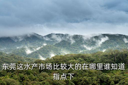 東莞最大的龍蝦批發(fā)市場，廣東東莞莞城區(qū)哪個菜市場有龍蝦賣
