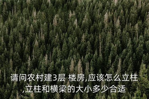 三層樓房設計圖,自建三層樓房設計圖