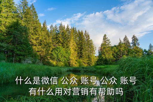 什么是微信 公眾 賬號 公眾 賬號有什么用對營銷有幫助嗎