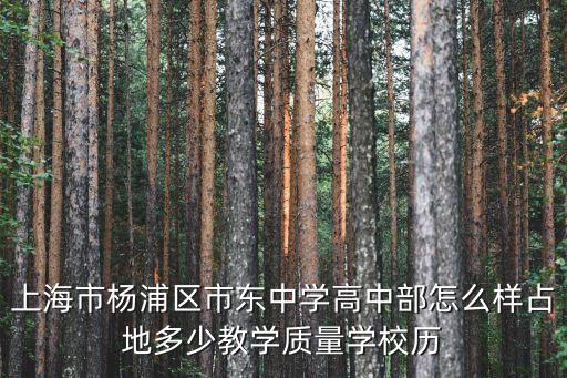 上海市市東中學(xué) 評論，上海市滬東中學(xué)好么