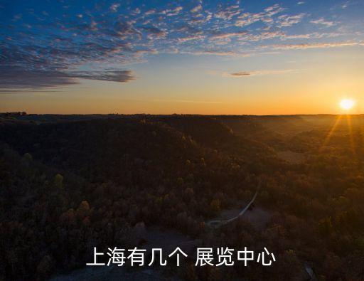 上海有幾個(gè) 展覽中心