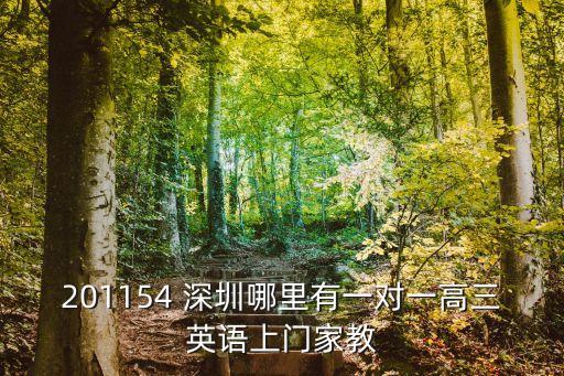 201154 深圳哪里有一對一高三英語上門家教