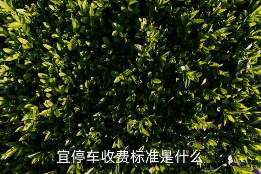 深圳宜停車覆蓋范圍，深圳龍崗金信諾周圍哪條路可以停車