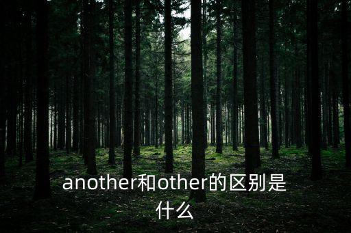 another和other的區別是什么