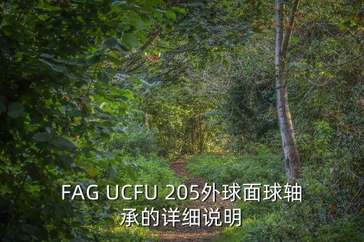 FAG UCFU 205外球面球軸承的詳細說明