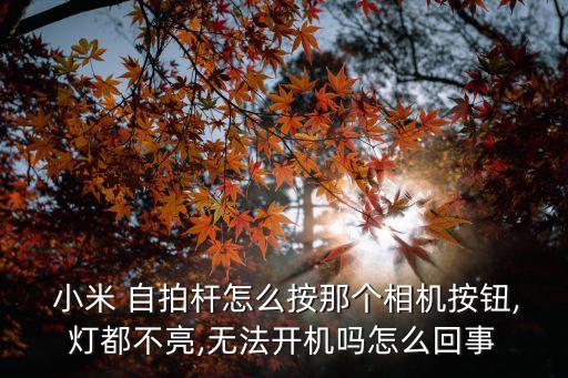 小米自拍桿