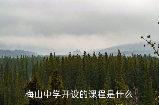 梅山中學開設(shè)的課程是什么