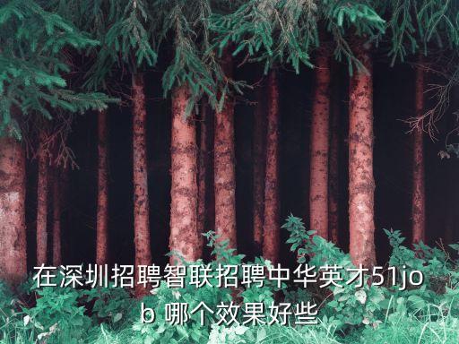 在深圳招聘智聯(lián)招聘中華英才51job 哪個效果好些