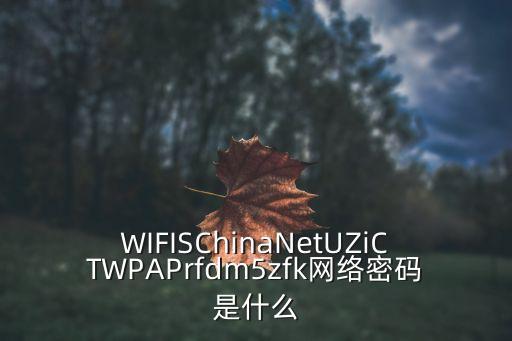 深圳圖書館 無線密碼，WIFISChinaNetUZiCTWPAPrfdm5zfk網絡密碼是什么