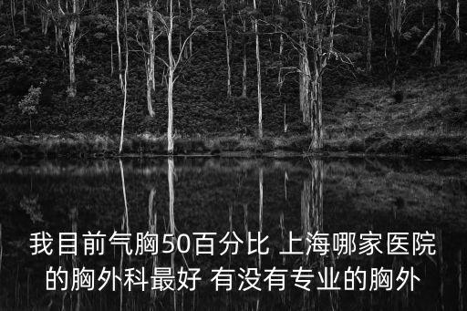 上海市胸科影像科，我目前氣胸50百分比 上海哪家醫院的胸外科最好 有沒有專業的胸外