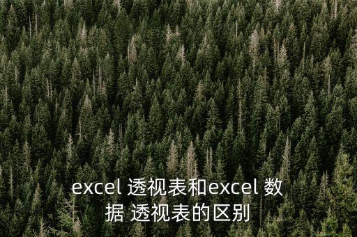 數(shù)據(jù)透視表是什么,Excel數(shù)據(jù)透視表是什么