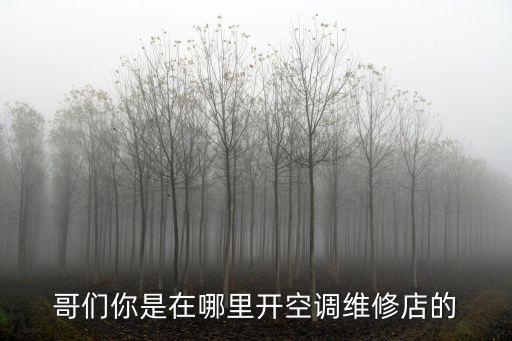 哥們你是在哪里開空調維修店的