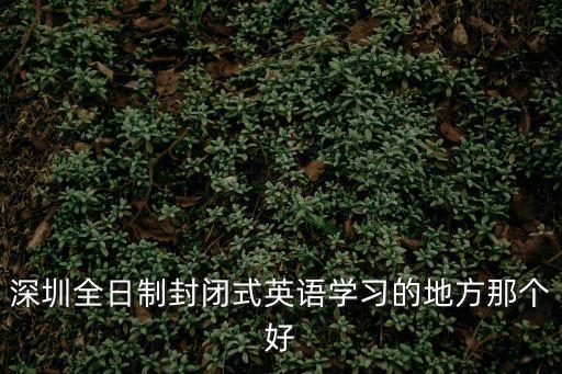 深圳全日制封閉式英語學習的地方那個好