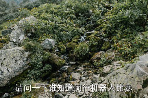 請(qǐng)問(wèn)一下誰(shuí)知道閔行機(jī)器人比賽