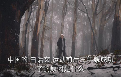 中國的 白話文 運動前后三年就成功了的原因是什么