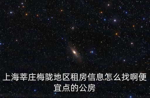 上海市梅隴村和平小區(qū)房源，上海莘莊梅隴地區(qū)租房信息怎么找啊便宜點的公房