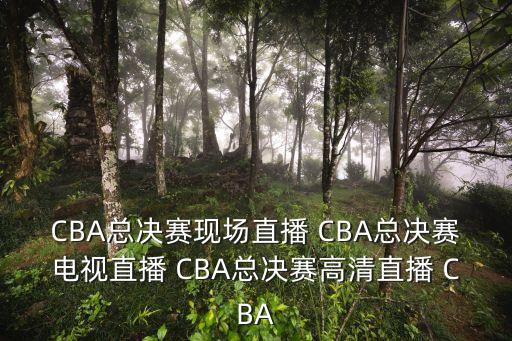 遼寧男籃深圳男籃直播視頻，今天晚上的CBA決賽遼寧對廣東哪個網站直播啊