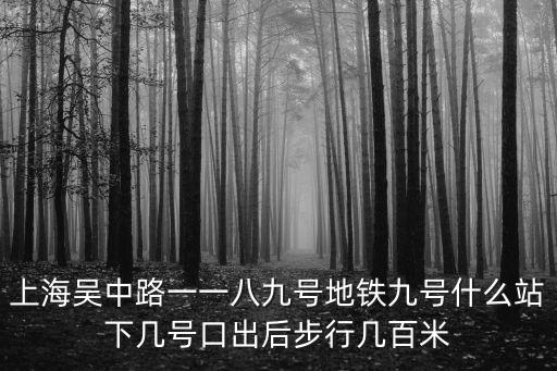 上海吳中路一一八九號地鐵九號什么站下幾號口出后步行幾百米