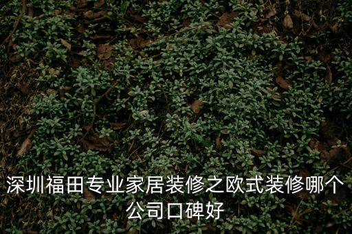 深圳福田專業家居裝修之歐式裝修哪個公司口碑好