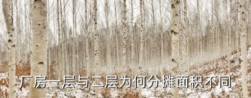 深圳廠房分割面積，深圳的面積有多大