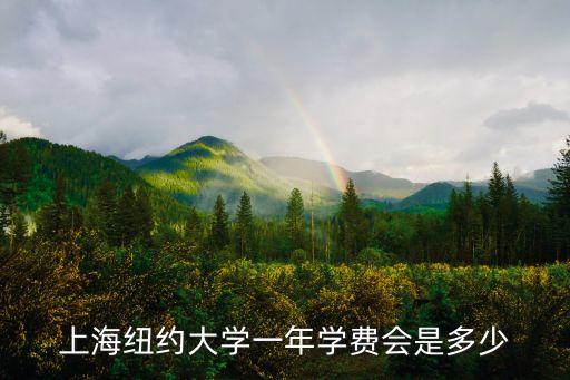 上海市紐約大學校長，上海紐約大學一年學費會是多少