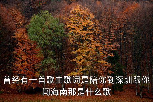 陪你去深圳，什么歌歌詞是陪你去深圳陪你闖海南