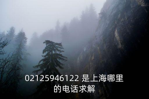 02125946122 是上海哪里的電話求解