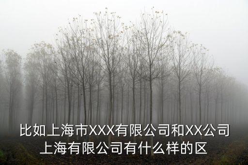 比如上海市XXX有限公司和XX公司上海有限公司有什么樣的區